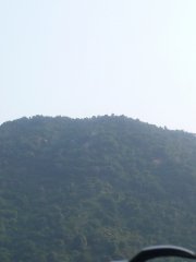 20130125