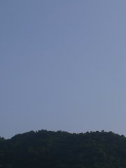 20130131