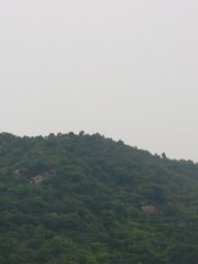 2013327