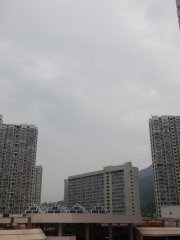 20131119