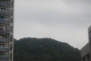 20150323