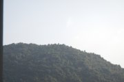20150129