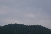 20130128
