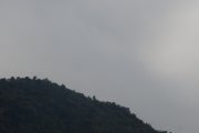 20140217