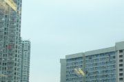 20110207