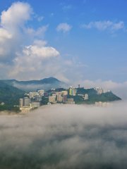 海霧