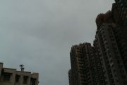 weather