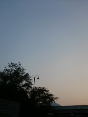 8/1