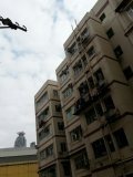 陽光明媚