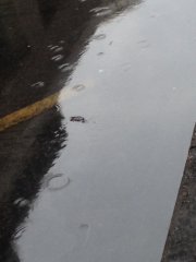rain2