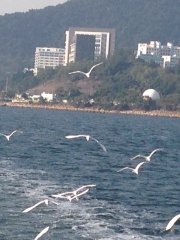 海天一色9