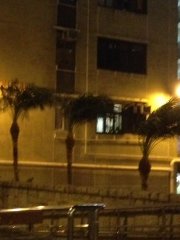 季風到2