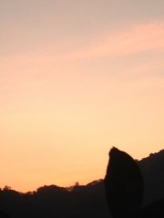 夕陽2