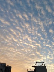 sunset2