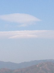 海天一色6