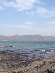 海天一色5