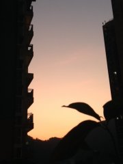 夕陽1