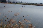 水天一色7