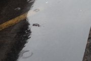 rain2