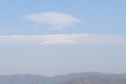 海天一色6