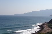 海天一色4