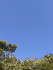 沙田的天空