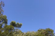 沙田的天空