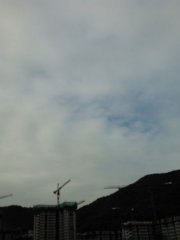 萬白叢中一片藍