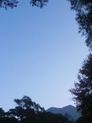寒夜過後