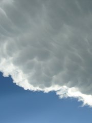 Cumulonimbus capillatus mamma