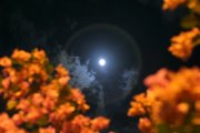 月暈 (Lunar Halo)