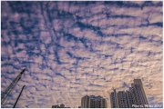 魚鱗雲清晨