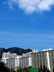 獅子山上的雲