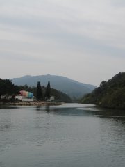 賽艇地獄傷心涌