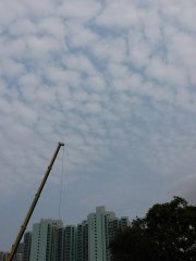 泳池吊臂 高聳入雲