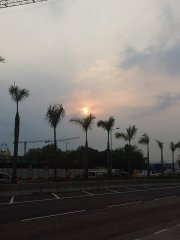 4月8日の日常 (日將落 數已炒)