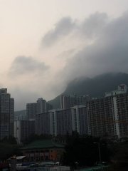 消失的獅子