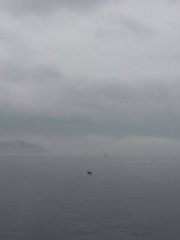 清明時節霧紛紛