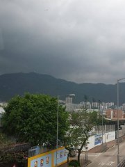 黑白配