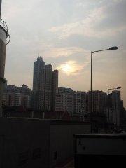 牛棚的後裔
