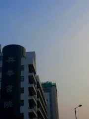 3月1日の日常●左邊蔚藍右邊黃
