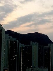 數家燈火相輝映