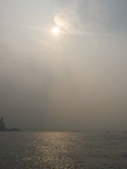 維港的後裔