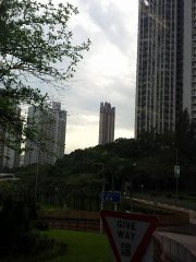 龍翔盡處泛白光