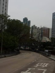 3月11日の日常●饒宗頤文化館