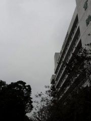 林蔭大道一片黑