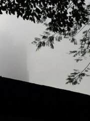 華貴大霧三部曲 之 霧裡太陽