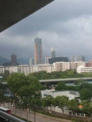 5月5日の日常