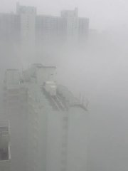 霧中群樓
