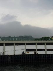 3月9日の長洲日常